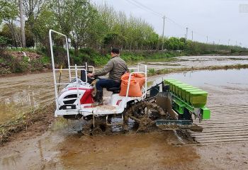 省工省力 精確播種——岡上基地2020年機械精量穴直播技術(shù)示范